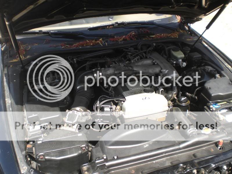 1jz-gte lexus sc300 swap - Tampa Racing